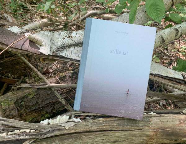Buchbesprechung von wohlergehen das Buch Stille aus dem Adeo Verlag